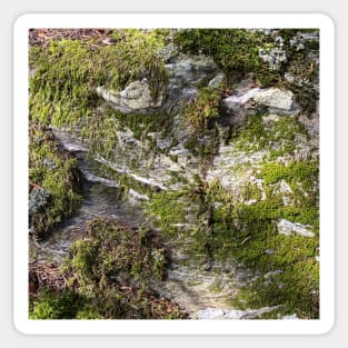 Green Stone Moss Nature Forest Sticker